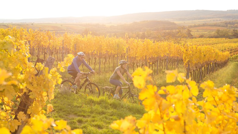 Goldene Rad-Saison im Retzer Land, © Retzer Land / Astrid Bartl