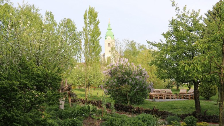 Ein grüner Garten mit Bäumen, Sträuchern und einem Kirchturm im Hintergrund.