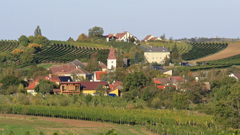 Blick auf das Dorf Mitterretzbach mit Weinbergen im Hintergrund.