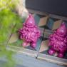 Zwei pinke Gartenzwerge auf gemusterten Fliesen neben einer Holzkiste mit Pflanzen.