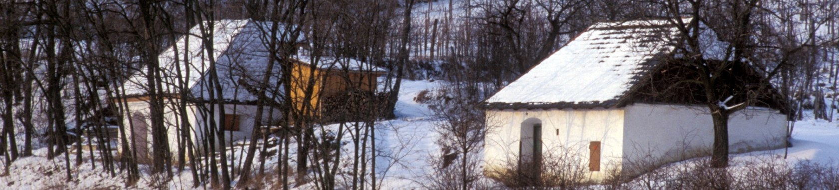 Verschneite Kellergasse, © Retzer Land / Archiv