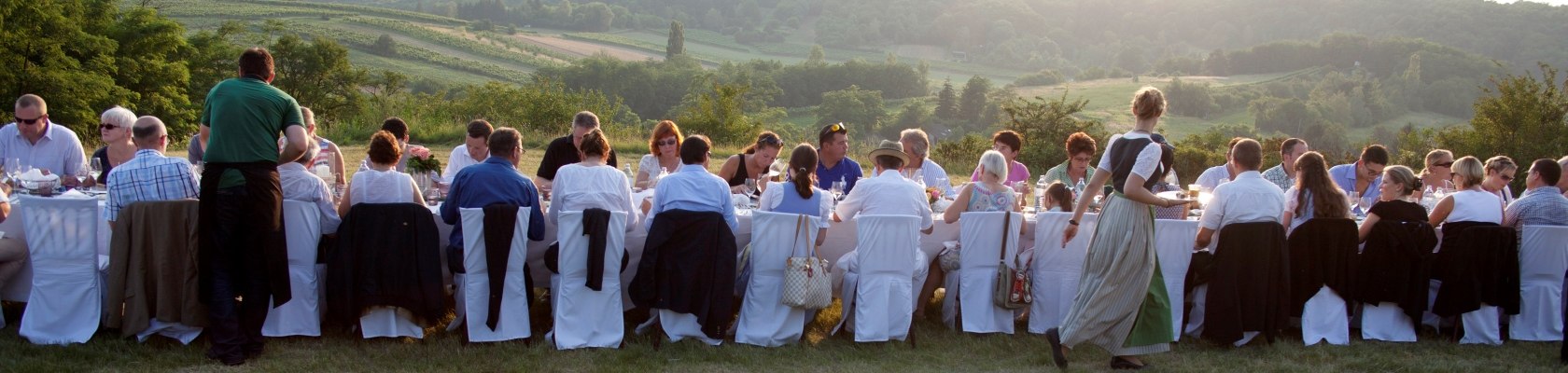 Tafeln im Weinviertel, © Weinviertel Tourismus / Wurnig