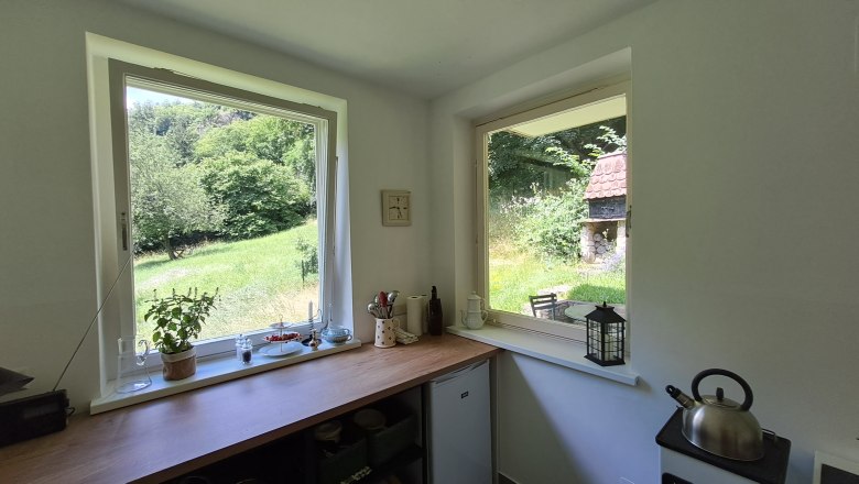 Blick aus einem K&uuml;chenfenster auf einen gr&uuml;nen Garten mit B&auml;umen und einem Grill.