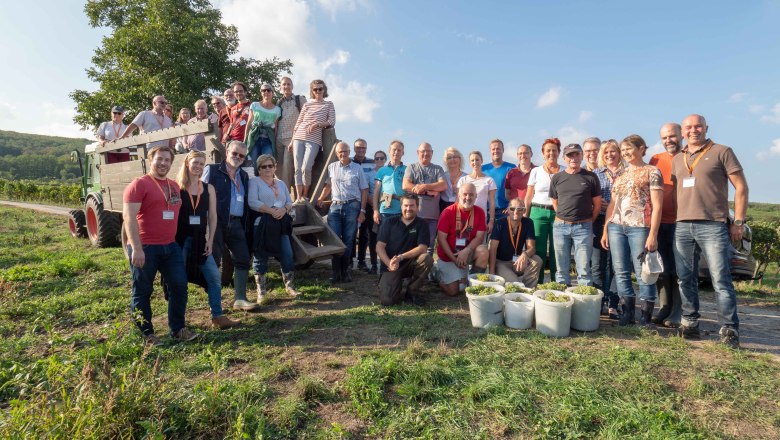 Die HobbywinzerInnen nach getaner Arbeit, © Retzer Land / Peter Mödl