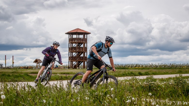 Zwei Radfahrer fahren auf einem Weg vor einem Aussichtsturm, umgeben von gr&uuml;ner Landschaft und bew&ouml;lktem Himmel.