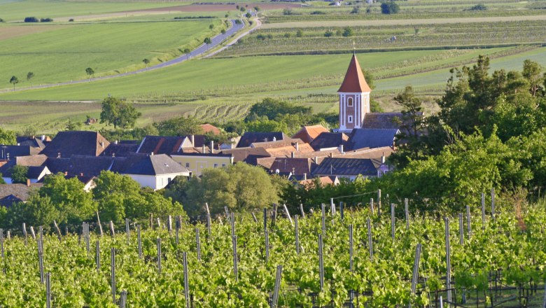 Blick auf ein Dorf mit Kirche und umliegenden Weinbergen.