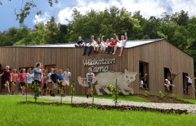 Eine Gruppe von Kindern und Erwachsenen sitzt auf einem Holzgeb&auml;ude mit der Aufschrift 'Wildkatzen Camp'. Einige Kinder stehen und springen davor.