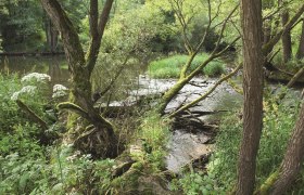 Thayatalweg, &copy; Nationalpark Thayatal / Manhart