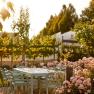 Ein Garten mit einem Tisch und Stühlen, umgeben von blühenden Rosen und Bäumen im Sonnenlicht.