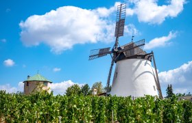 Die Retzer Windmühle, © Retzer Land / Mödl