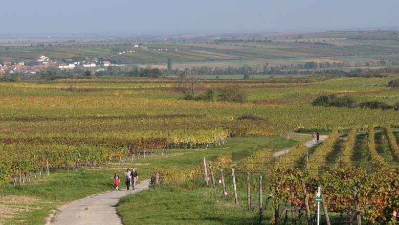 Weinwanderweg in Retz, © Retzer Land / Wöhrer