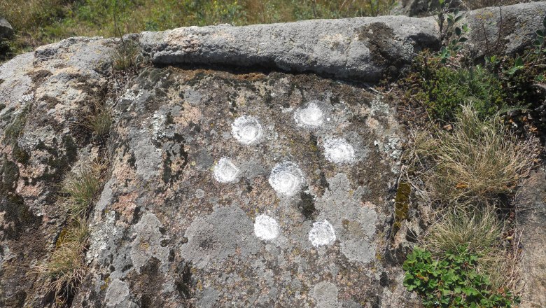 Ein Felsen mit mehreren wei&szlig;en, kreisf&ouml;rmigen Markierungen in einer nat&uuml;rlichen Umgebung.