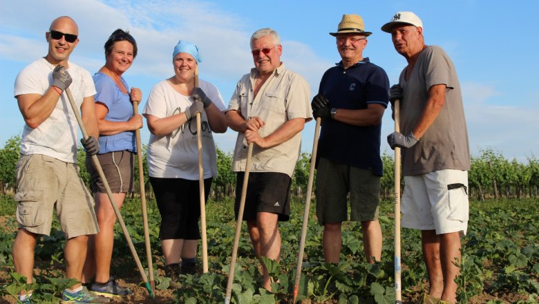 Vorbereitungen für das Kürbisfest, © Retzer Land / Raab