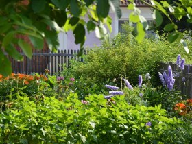 Angerg&auml;rten Rundweg, &copy; Weinviertel Tourismus / Die Reisereporter