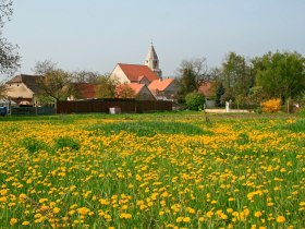 Zu den Schutzpatronen, &copy; Weinviertel Tourismus / Wolfgang Gerzer
