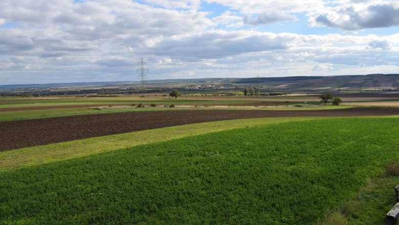 Weite Landschaft mit Feldern und Strommasten unter bew&ouml;lktem Himmel.