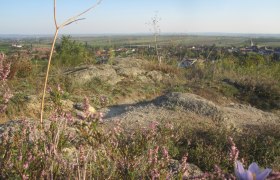 Haide bei Mitterretzbach, © Dr. Gabriele Bassler-Binder